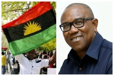 15976243_peterobiipob450x300_png4125ca630a1ff0946494d574a86a4fed