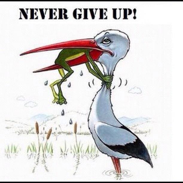 Never Give Up! - Religion - Nigeria