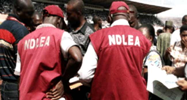 NDLEA Has Busted a Drug Market Reputed to be the Largest in West Africa