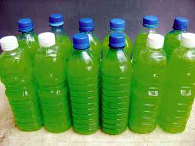 How to Sell Liquid Soap & Detergent in Nigeria