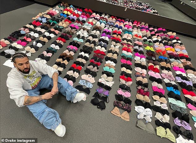Drake Shows Off His Bra Collection - Celebrities - Nigeria