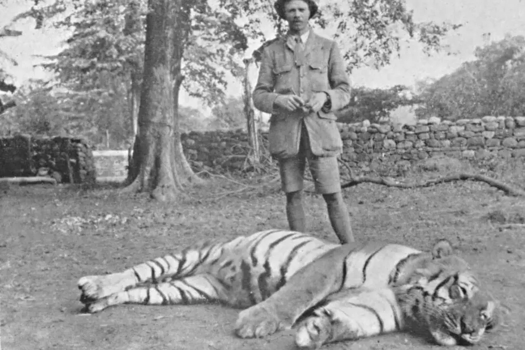 Тигр людоед. Джим Корбетт Чампаватская тигрица. Чампаватская тигрица Непал 1911 год. Джим Корбетт людоед.