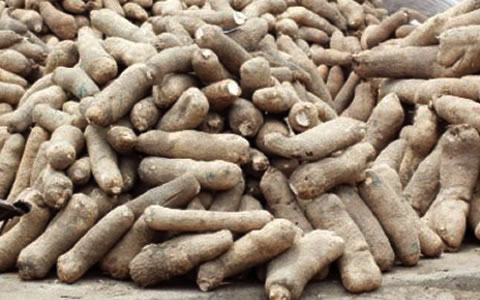 Image result for yam in nigeria