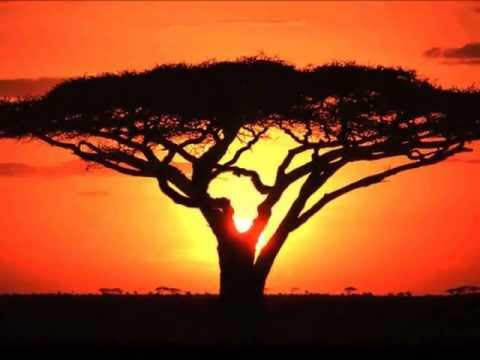 Hes Poem Wallpaper: Explanation Of The Poem Africa By David Diop