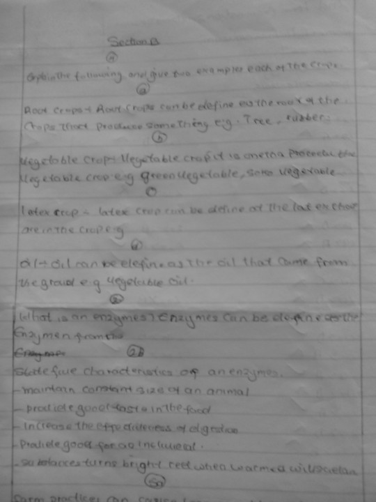 Answers To Exam Questions From A SS1 Student. PHOTOS (must See) - Education  - Nigeria