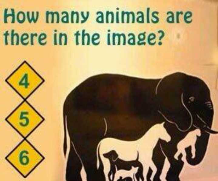 How Many Animals Can U See In This Puzzle? - Jokes Etc - Nigeria