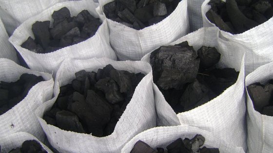 charcoal export business plan pdf