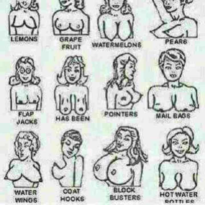 Types Of Boobs Lol Guys Pick Your Choice (photo) - Romance - Nigeria