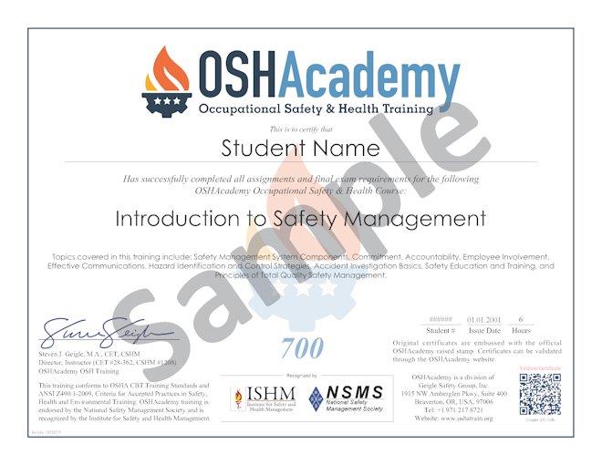 International Basic Safety Management Certification (hse): Very ...