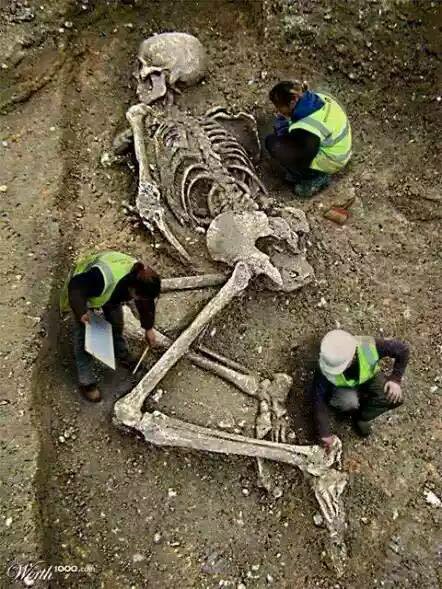 Goliath Skeleton Found In Jerusalem. - Religion - Nigeria