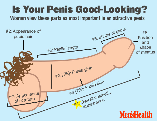 Is Your Penis Good Looking? 
