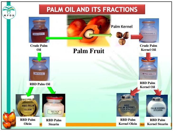 Palm Oil Vs Palm Kernel Oil: Know The Difference