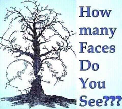 Brain Teaser- How Many Faces Can You Spot In This Photo - Education ...
