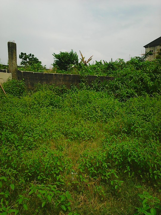 For Sale In Treasure Palm Estate Abijo Lekki Phase2 - Properties - Nigeria