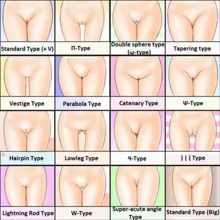 Types Of Vagina/genitals And Their Sexual Attributes - Romance - Nairaland.