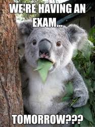 Funny Exam Pictures Students Can Relate To! - Jokes Etc - Nigeria