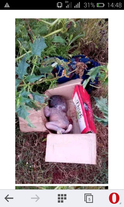 Abandoned Baby Found Dead In A Bush In Jos (snapshots ...