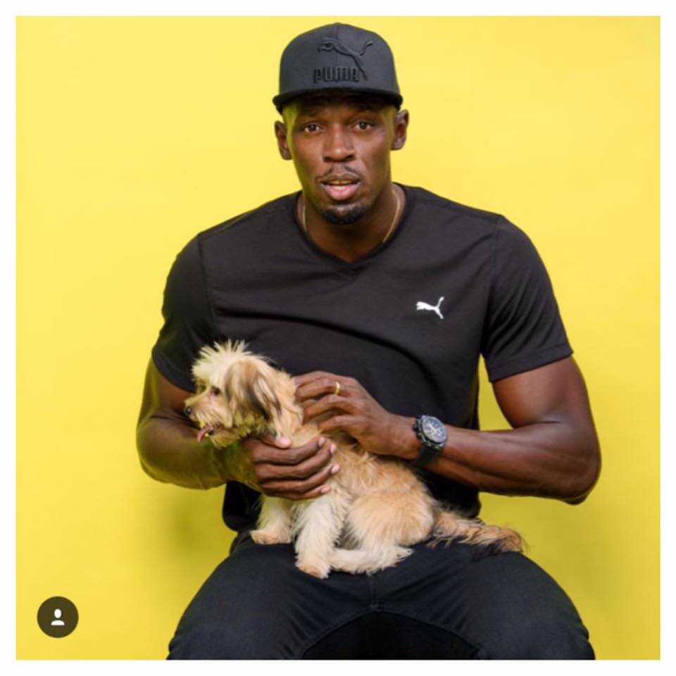 Usain Bolt Showcases His Pet Dog (photos) - Sports - Nigeria