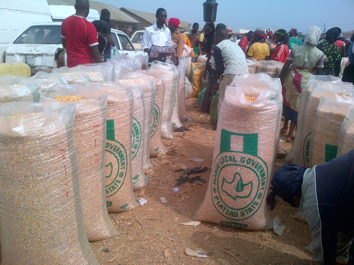 Dry Maize For Sale And Supply - Agriculture (2) - Nigeria