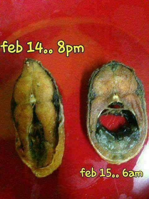 Before And After Valentine Night Picture Of A Fish. It Made Me