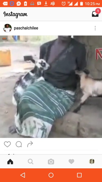 Photo Of A Lady Breastfeeding A Puppy Goes Viral Pets 3 Nigeria