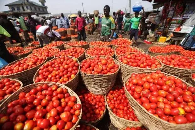 Ile-epo Market Sealed By Gov. Ambode Due To Non Environment Sanitation - Food - Nigeria