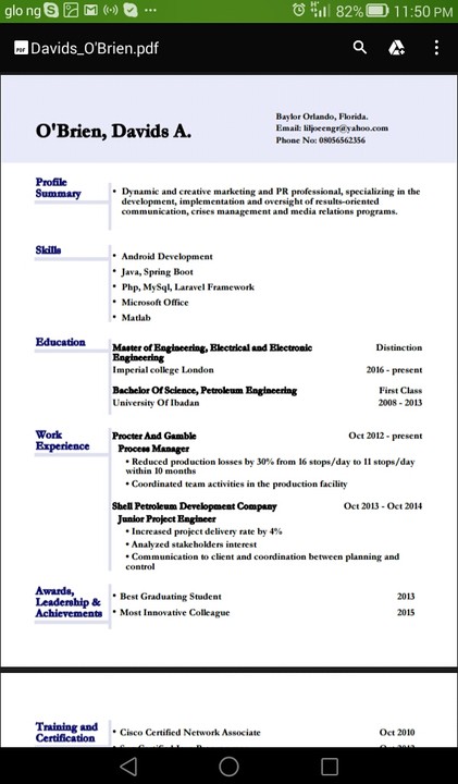 Examples of resume in nigeria