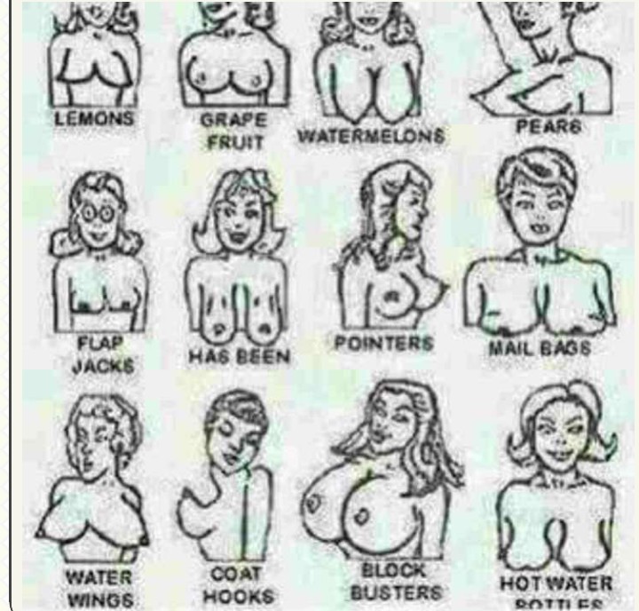 Different Types Of Boobs/breast We Have - Romance (7) - Nigeria