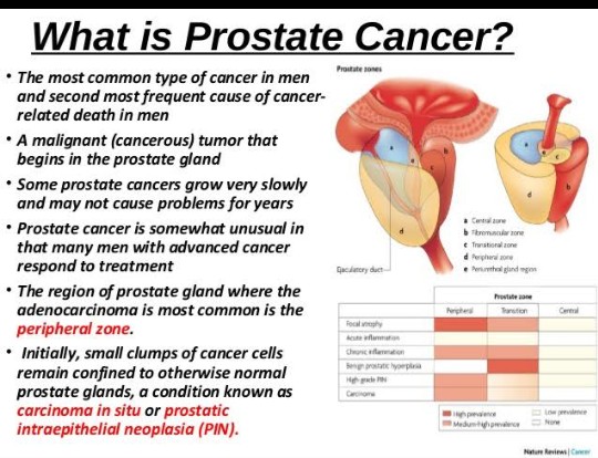 Natural Remedies For Prostate Cancer Health Nigeria