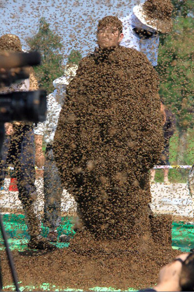 Mans Hands Covered By Bees After He Stole A Car From The Owner Video Photo Religion Nigeria