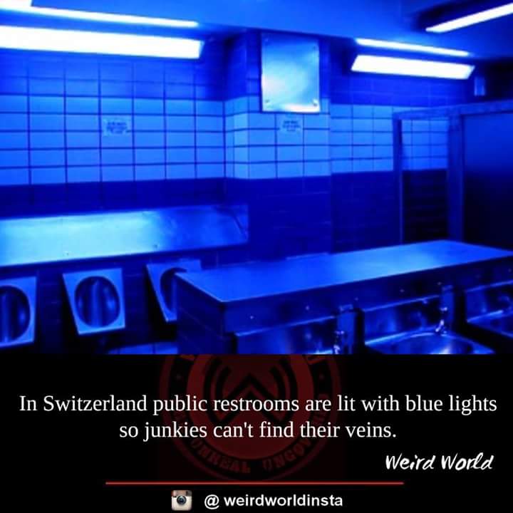 Ночной клуб туалет видео. Туалет в ночном клубе. Неоновый туалет. Синее освещение в туалетах. Общественный туалет в клубе.
