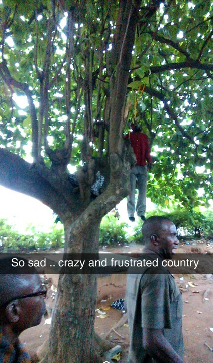 Man Hangs Himself On A Tree At Lagos Airport Way This Morning (Graphic