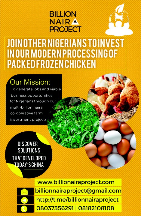 frozen chicken business plan in nigeria