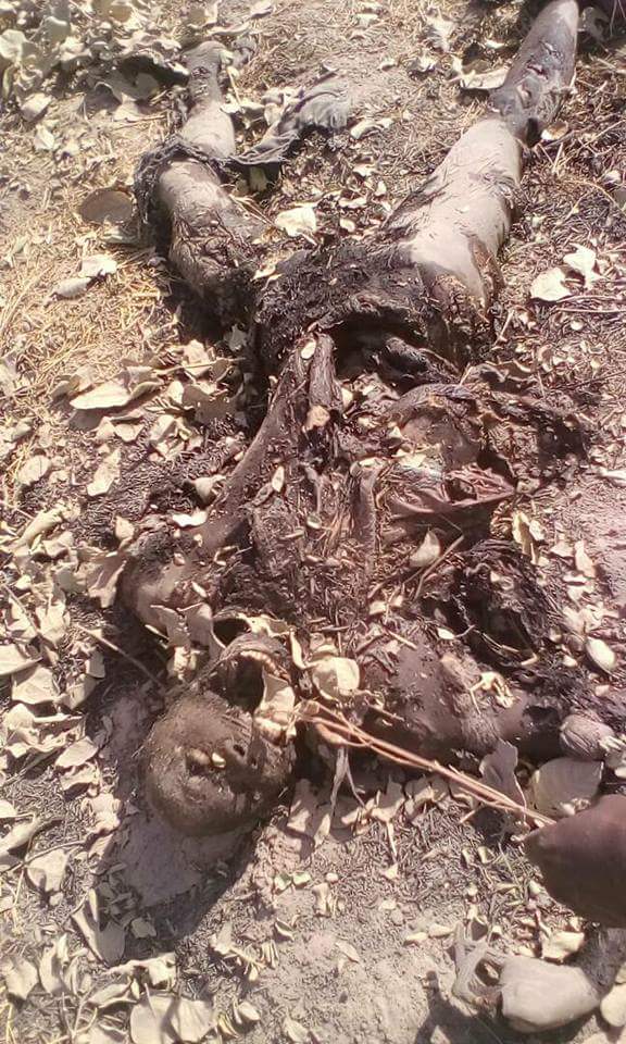 6 Dead Bodies Of Fulanis Killed In Taraba Discovered By ...