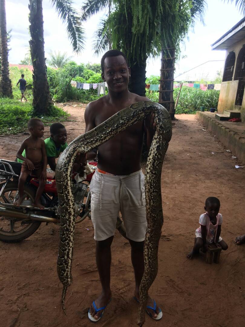 How Much Can I Sell This Snake I Killed In My Hustle Today ...
