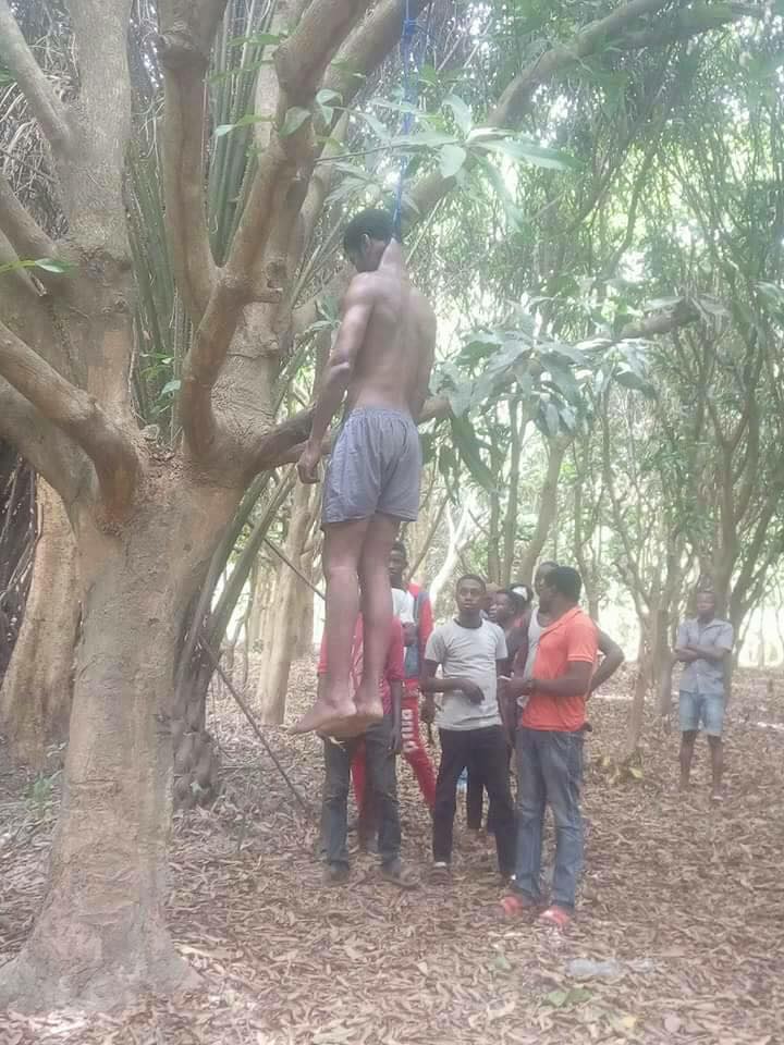 Man Commits Suicide In Abuja By Hanging On A Tree (Graphic Photo) - Crime -...