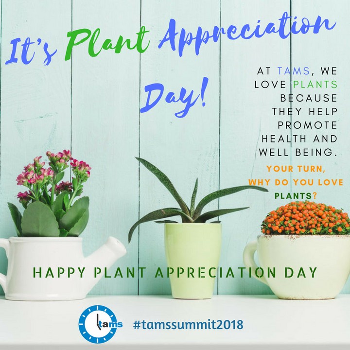 Appreciation Day: Why Do You Love Plants Culture -