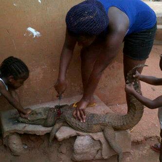 pic slaughtering alligator mother kids nairaland jokes etc 38am jul re