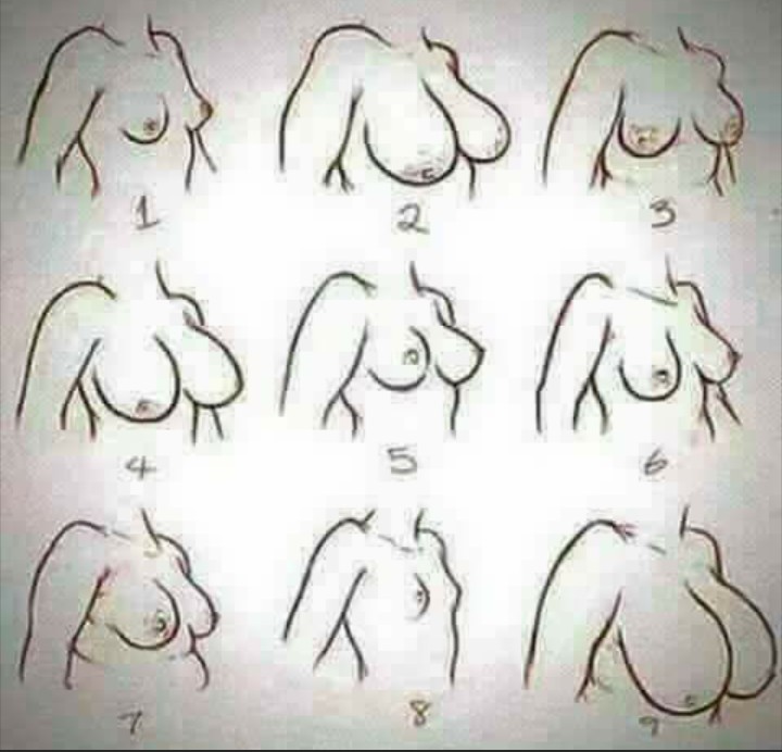 LADIES:9 TYPES OF Breast{pic]which One Is Yours? - Romance - Nigeria
