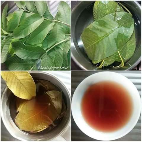 guava leaves health benefits tea nairaland natural should know water