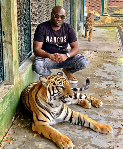 Image result for Nigeria celebrity buys tiger