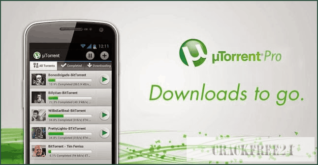 why using the utorrent pro