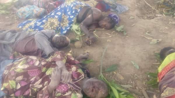 Fulani Herdsmen Attack Kajuru LGA In Kaduna Today, Kill Many (Disturbing Photos)  8962593_fbimg1552328923181_jpegbbe7eb75d40c1e920bc15d0710b3ea0f
