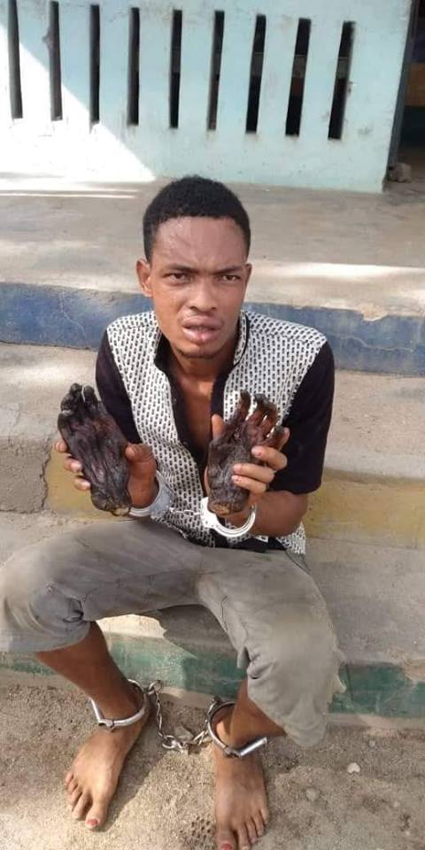 Image result for Young Man Nabbed WithÂ  Human Hands In Ekiti