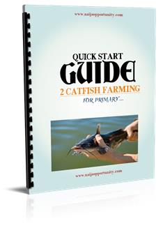 catfish farming business plan pdf