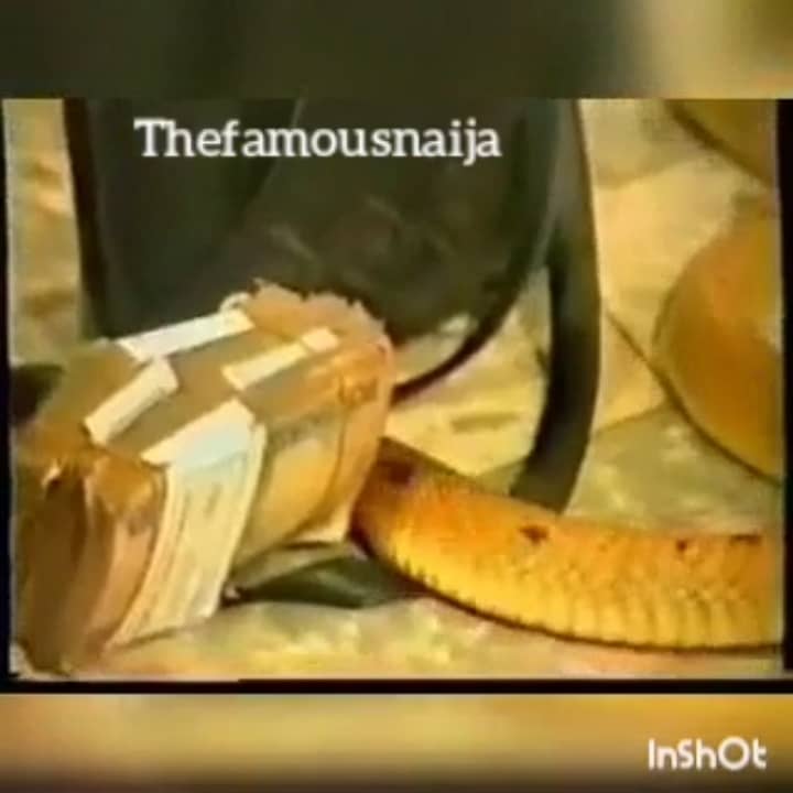 In my vagina snake QueenSnake