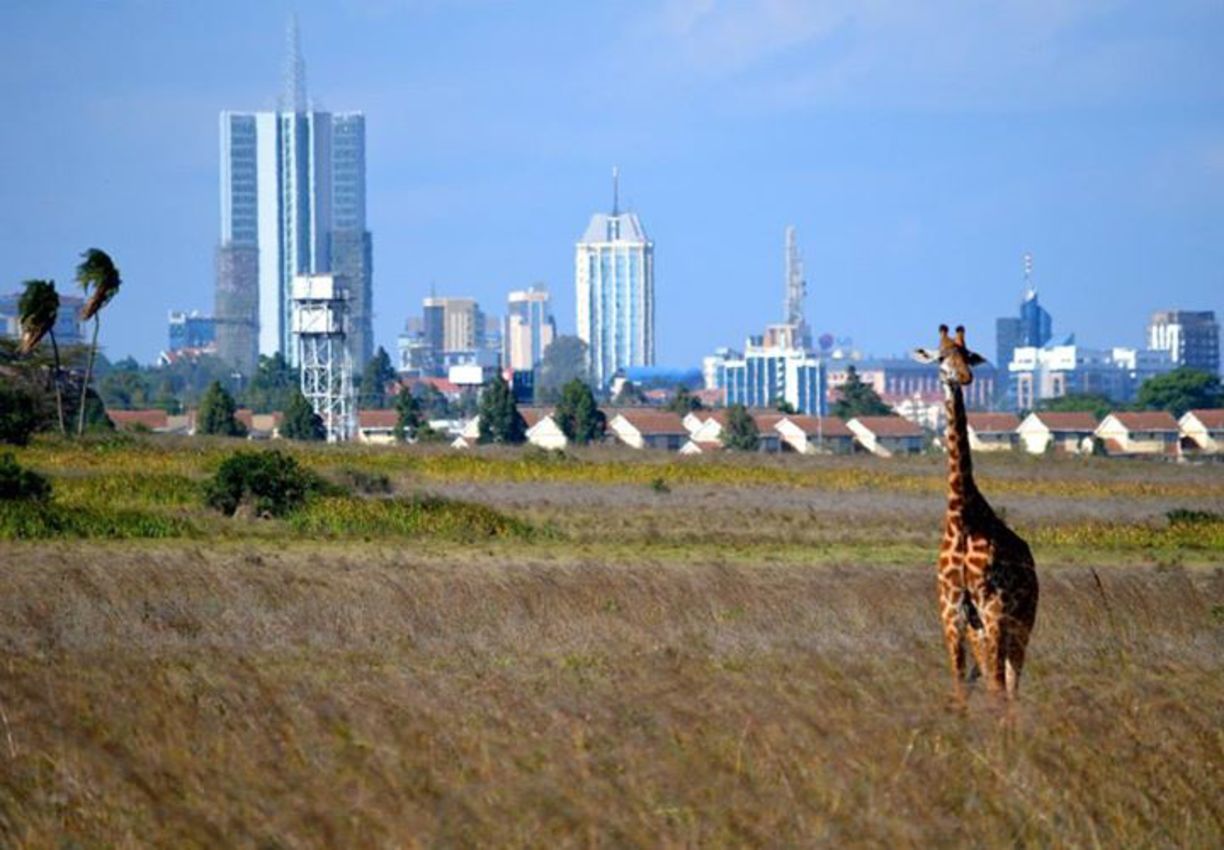 Страна города найроби. Кения Найроби. Нац парк Найроби. Найроби столица. Парк Угуру Найроби.